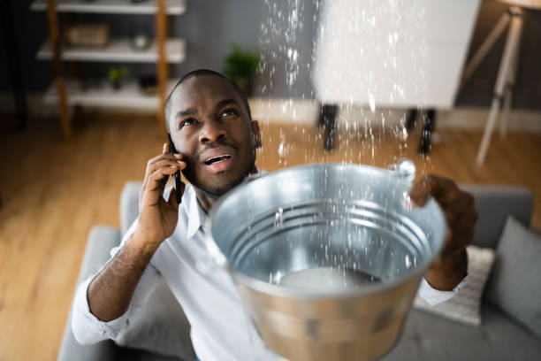  Noroton Heights, CT Water damage restoration Pros
