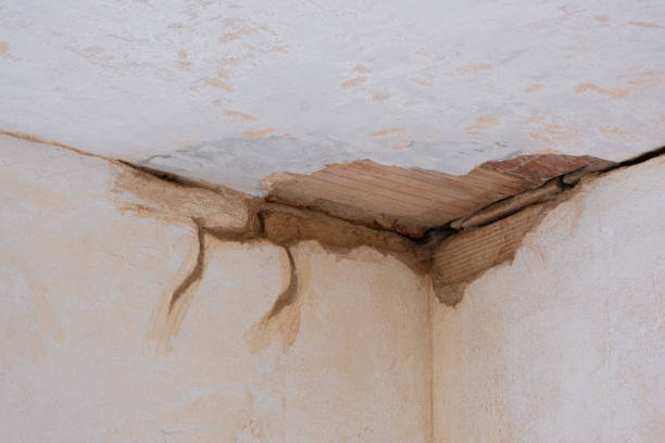 Best Residential water damage restoration  in Noroton Heights, CT