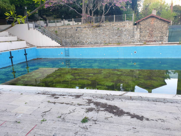 Best Flood restoration services  in Noroton Heights, CT