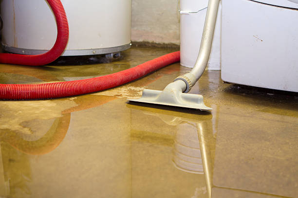Best Water damage cleanup near me  in Noroton Heights, CT