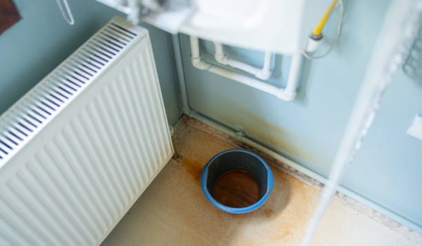 Best Local water damage restoration  in Noroton Heights, CT