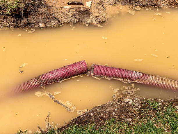 Best Water damage contractors near me  in Noroton Heights, CT
